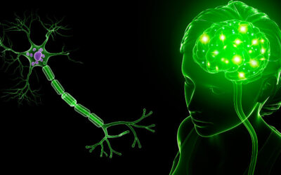 MND a ALS – ochorenie motorického neurónu
